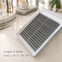Extensions de cils Premium Anime Lashes Comic Spire Lashes Wispy Spike Premade Fans Easy Fan pour professionnels de salon