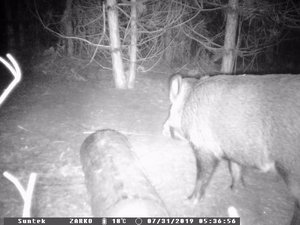 Caméra de <span class=keywords><strong>chasse</strong></span> 2G MMS SMTP HC801M <span class=keywords><strong>940nm</strong></span> Caméra de faune cellulaire - Product Image 6