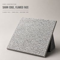 Carreaux de granit blanc sésame G603 600x600x30mm Revêtement mural en pierre pour façade de bâtiment