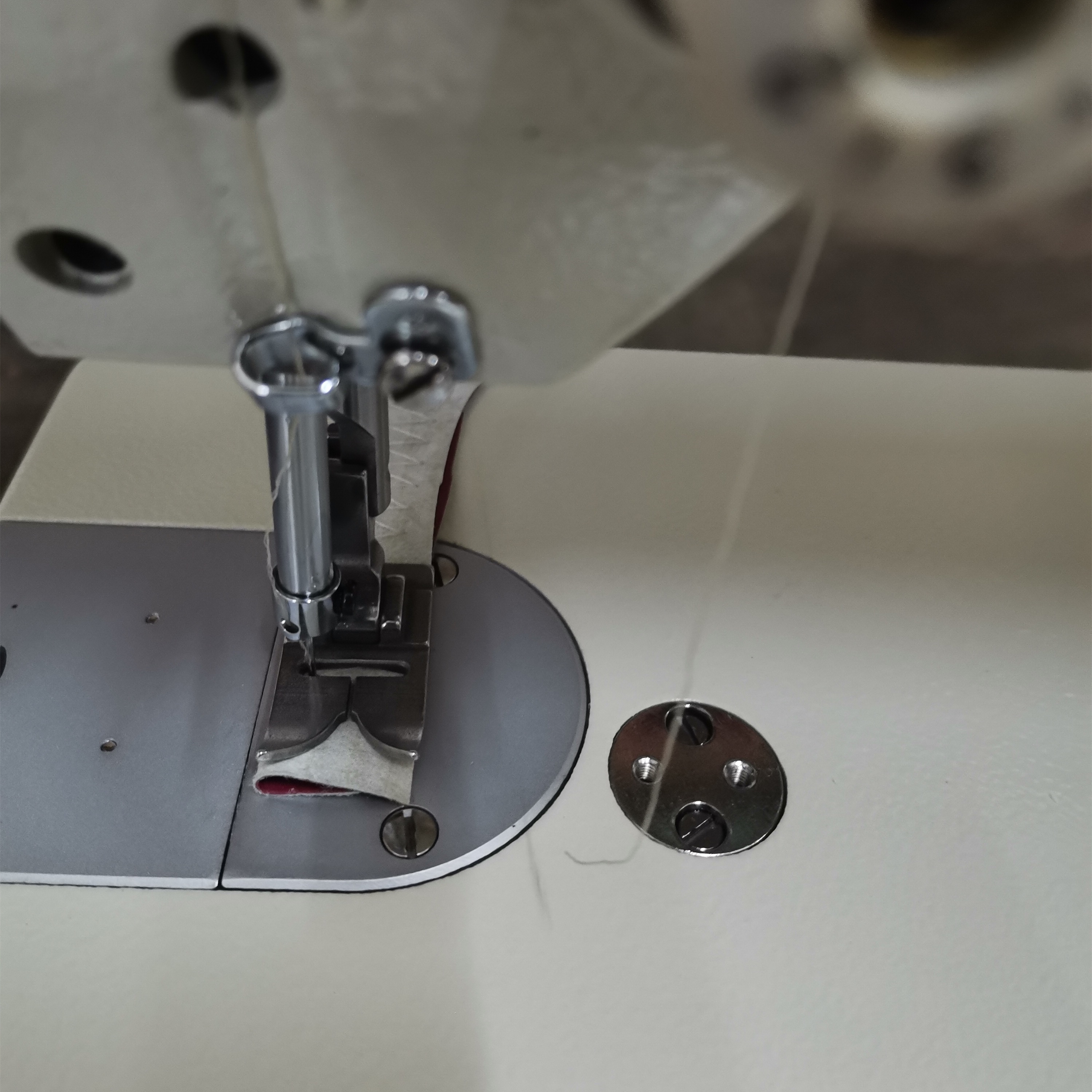 ぐーみん専用ページ コペットプロクリッパー 専用替刃S 3～5mm: 200｜業務用