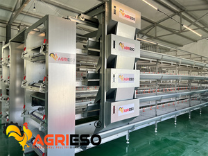 Sistema Automático de Jaulas para Gallinas Ponedoras para Granjas Avícolas con Sistema de Alimentación, Recolección de <span class=keywords><strong>Huevos</strong></span> <span class=keywords><strong>y</strong></span> Eliminación de Estiércol - Product Image 3