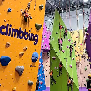 Equipo de Parque de Aventura Interior Personalizado Pared de <span class=keywords><strong>Escalada</strong></span> en Roca Divertida para Niños y Adultos <span class=keywords><strong>Material</strong></span> Plástico para Parque de Trampolín - Product Image 2