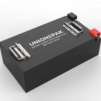Batterie au lithium LiFePO4 UNIONEPAK 60V 50Ah avec BMS intelligent pour scooter électrique, tricycle, voiturette de golf, fabrication OEM ODM
