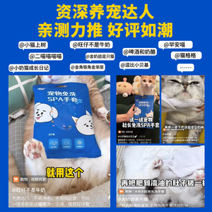 Pet wipes, gloves, disposable wet wipes for cats and dogs, OEM/private label care, no-rinse pet-specific products - Product Image 2