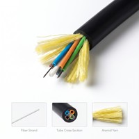 Cable de Fibra Óptica para Exteriores ADSS, 48 Núcleos, Monomodo SM G652d, PVC, 2km, Reforzado con Alambre de Acero, OEM y ODM