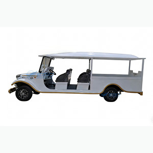 Carroza Fúnebre Elegante Personalizada en Color 2026 en Venta, Carroza Fúnebre de Metal y Madera, Estilo Moderno - Product Image 1