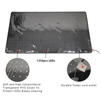 660nm 850nm Infrarouge LED Lumière Thérapie Sauna Couverture Corps Entier Photothérapie Tapis pour Soulagement De La Douleur Thérapie Par La Lumière Rouge Yoga Pad