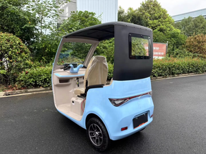 Nouveau modèle de mini-tricycle électrique fermé à 3 places, batterie au plomb-acide ou au lithium, scooter de mobilité à trois roues >1000W 400kg sans balais - Product Image 3