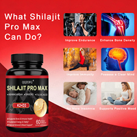 Capsules Shilajit Pro Max à succès avec D3, K2, Ashwagandha, Ginseng et Acide Fulvique pour l'énergie quotidienne et le soutien immunitaire des adultes