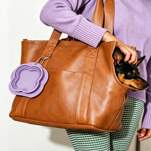 Tazón Plegable de Silicona para Perros, Plato Portátil para Comida y Agua para Mascotas con Clip de Transporte - Product Image 4