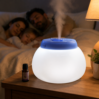 Humidificateur à vapeur chaude pour air sec avec sortie de vapeur réglable, arrêt automatique et réservoir d'eau facile à nettoyer
