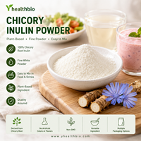 Poudre fine d'inuline de chicorée sans allergène, dérivée de plantes, qualité stable, emballage standard pour formules alimentaires