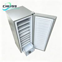 Congélateur vertical 198L à 11 niveaux, machine à glaçons solaire DC 24V, congélation rapide, efficacité énergétique pour supermarché et magasin