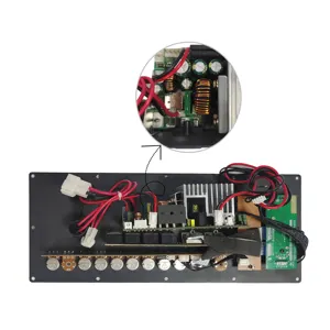 Audio Amplifier Enclosure Class D Power Amplifier Board Amplifier Module For Active Speaker