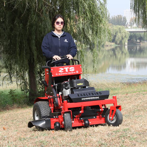 공장 직판 ZTS 32 스탠드 온 잔디 깎는 기계 특별 디자인 - Product Image 2