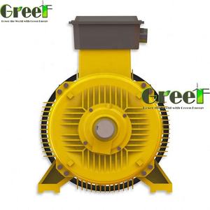 <span class=keywords><strong>150KW</strong></span> 250KW 3 상 Ac 저 RPM 수력 발전기 용 동기식 수력 발전기 - Product Image 1