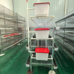 Nouvelle cage à poulets verticale à 3 niveaux et 4 portes, capacité 96 poulets, équipement d'élevage avicole commercial automatique et économique de haute qualité - Product Image 5