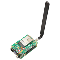 Placa DE DESARROLLO Raspberry Pi 5 con acceso a Internet telefónico gratuito y controlador de módulo Qualcomm CAT4 4 4G LTE (M4GUSB)