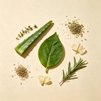 Enzyme cellulase de qualité alimentaire YIDA Biotech, extrait végétal botanique pour la rupture des parois cellulaires des plantes, durée de conservation de 12 mois