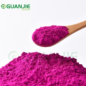 Polvere di Frutta del Drago Liofilizzata Diretta dalla Fabbrica, Polvere di Pitaya Rossa ad Alta Purezza per Bevande - Product Image 3