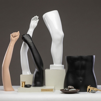 Mannequin masculin musclé en FRP, avec parties du corps séparables pour l'affichage (bras, jambes, taille)