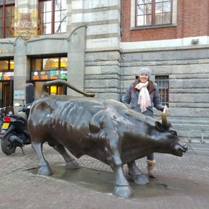Statua di Toro di Wall Street in Bronzo Scolpito a Grandezza Naturale, Scultura Animale Moderna per Esterni di Alta Qualità con Tecnica di Fusione - Product Image 4