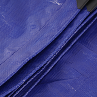 Voile d'ombrage imperméable en tissu argenté bleu Million pour jardin, extérieur, bateau, camion, usage agricole, bâche en PE