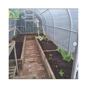 Grand Polytunnel <span class=keywords><strong>Abri</strong></span> pour Plantes Maison Mini Serre Jardin <span class=keywords><strong>Kit</strong></span> pour Tomates Bleuets PE Matériel Vert Serre Arrière-Cour - Product Image 6