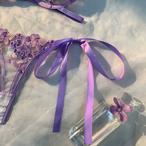 2026 Großhandel Young Lady Fancy Push up Transparent Bestickt Durchsichtig BH Top Sexy Bandage Erotik BH Tanga Höschen Set - Product Image 6