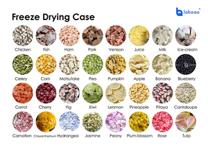 مجفف خضروات منزلي لاوباو 10-12 كجم بالتجميد الفراغي - Product Image 6