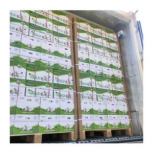 Ora caj de 10 kg aglio bianco normale fresco scatola da 10 kg scatola aglio bianco cinese all'ingrosso di alta qualità - Product Image 6