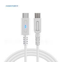 Cable de Carga para Control de WiiU PAD a USB Tipo C, Blanco, 1.2m