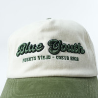 Gorra de Béisbol Personalizada 2026 de Dos Tonos, Estilo Vintage, de Algodón Lavado, con Logotipo Bordado en 3D, Color Blanco Hueso, Estilo Urbano