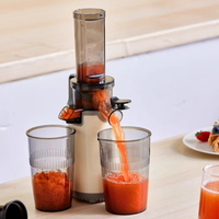 Elektrische slowjuicer-extractor Machine Hoog rendement roestvrij staal 300 ml capaciteit Vruchtensapmaker voor thuis commercieel gebruik