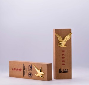 Cina Prodotto di Blocco di Legno Targa di Legno di Cristallo Chimerism Artigianato Trofeo - Product Image 3