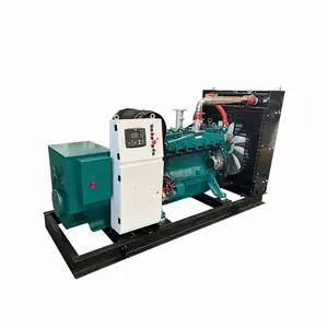 Generator bertenaga Bio gas 300kW tanaman Biogas kecil efisien tinggi