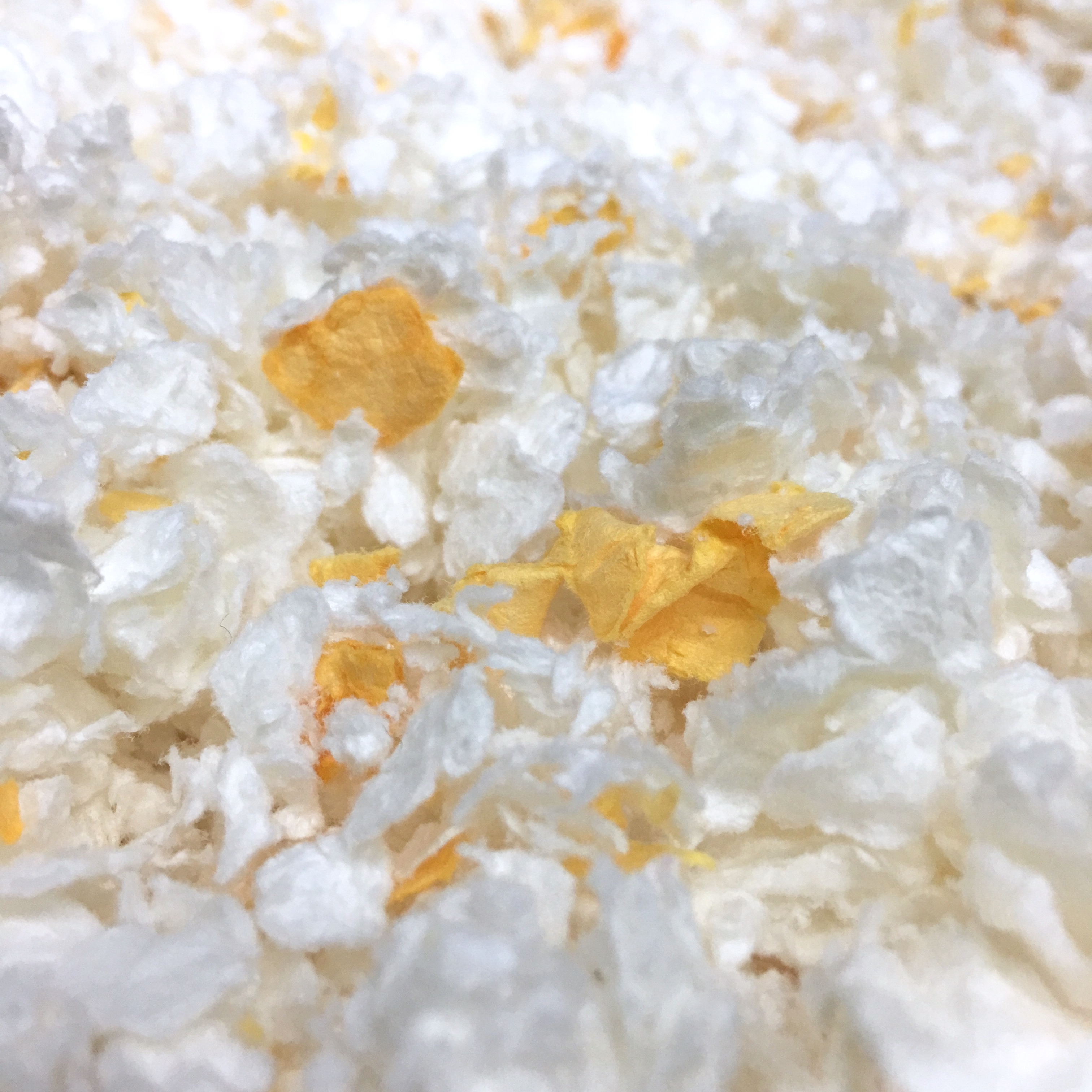 Blanc + orange