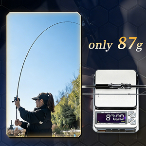 Canne à pêche spinning/casting en fibre <span class=keywords><strong>de</strong></span> carbone <span class=keywords><strong>L</strong></span>/ML/M, 198cm-258cm, avec anneaux <span class=keywords><strong>de</strong></span> guidage LS, pour la pêche en eau douce et salée, action rapide, pour la bar. - Product Image 3