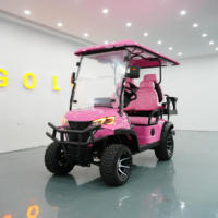 Voiturette de tourisme électrique 4 places 60V au lithium avec GPS, guide audio, pour visites de ville et golf, autonomie de 70-90 km et écran 7.10.1