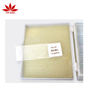 สไลด์สไลด์ euglenid <span class=keywords><strong>Monad</strong></span> สำหรับการสำรวจทางการแพทย์กล้องจุลทรรศน์เพื่อการศึกษาทางวิทยาศาสตร์ - Product Image 2