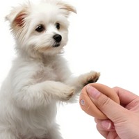 Juguetes Masticables para Perros y Gatos, Duraderos y Ecológicos, de Vinilo PVC, Simulación de Huevos, 4x5cm, Resistentes a Mordidas, Autoajustables, Alivian el Estrés