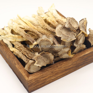 Venta caliente Pilose Antler Mushroom Deer Velvet Antler Todo secado VF Proceso Fried Chicken Mushroom Fungus Barato - Product Image 1