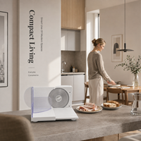 Fabricant de trancheuses électriques pliables 150W pour cuisines compactes et projets d'appareils électroménagers OEM