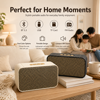 Retro Metall-Mesh BT 5.3 Lautsprecher 8W Kompakter Tragbarer Audio-Player mit TF USB FM für Reisen Großhandel OEM ODM