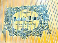 Top Grade Yamahas C2 Grand Piano of Excellent Quality Professional Music Use Japan