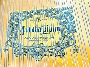 Piano à queue <span class=keywords><strong>Yamaha</strong></span> <span class=keywords><strong>C2</strong></span> de qualité supérieure, d'excellente qualité, pour usage professionnel, fabriqué au Japon - Product Image 5