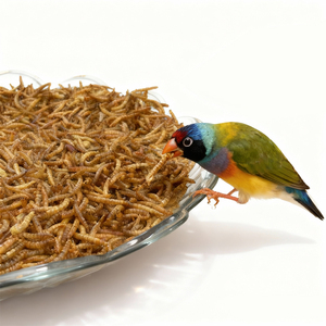 Vers de farine jaunes séchés riches en protéines (55 %) – Aliment naturel comestible pour oiseaux, poulets, poissons et animaux de compagnie - Product Image 6