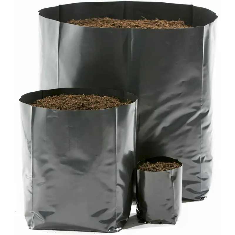 Sacs de pépinière en plastique Plant Grow Seedling avec des trous respirants PE Grow Bags Sapling Grow Bag