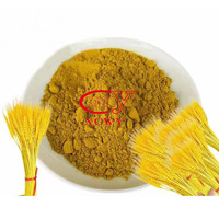 Colorants jaunes de base 100% poudre jaune pure pour le tissage de la paille, les fleurs séchées, les plateaux à œufs et les colorants textiles