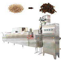 Semillas de calabaza de 150x200 KG/H, tostador, anacardo, máquina para asar cacahuetes, precio